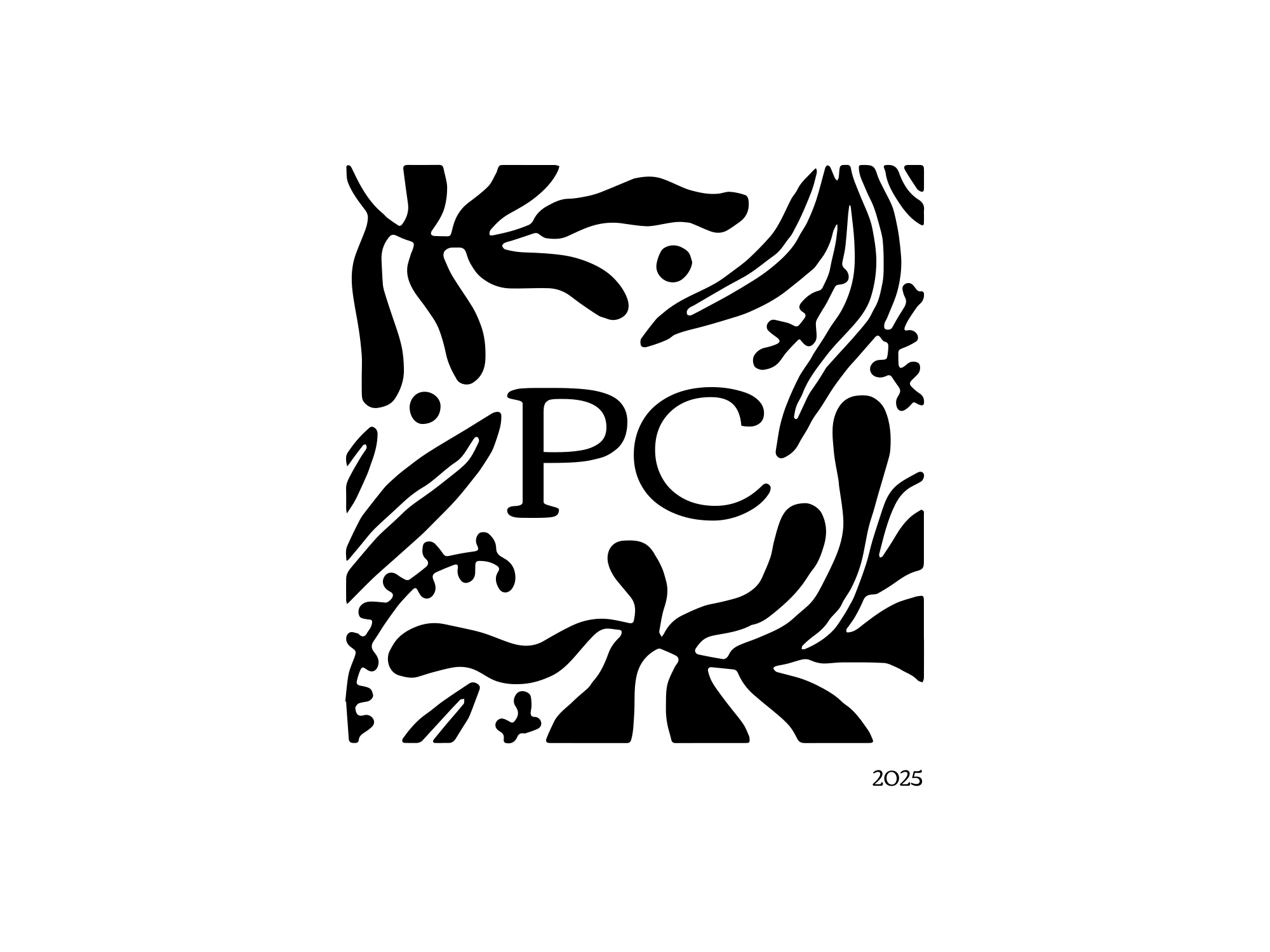 pavanchauhan.me favicon